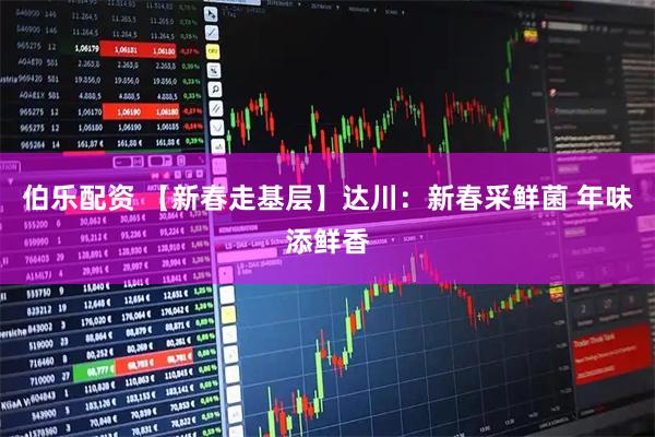 伯乐配资 【新春走基层】达川：新春采鲜菌 年味添鲜香