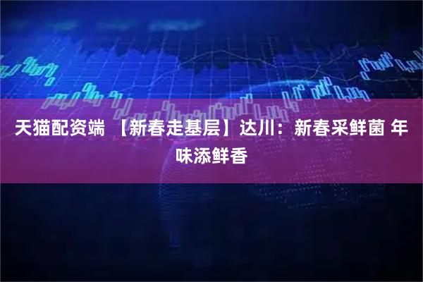 天猫配资端 【新春走基层】达川：新春采鲜菌 年味添鲜香