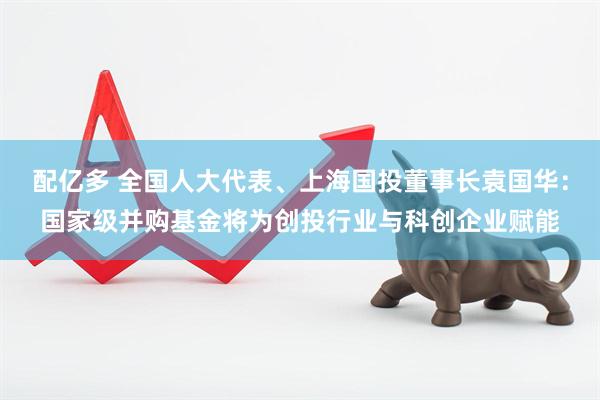 配亿多 全国人大代表、上海国投董事长袁国华：国家级并购基金将为创投行业与科创企业赋能
