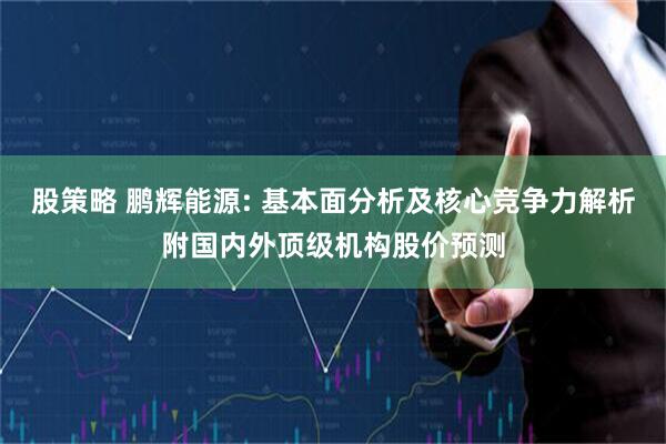 股策略 鹏辉能源: 基本面分析及核心竞争力解析附国内外顶级机构股价预测