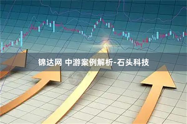 锦达网 中游案例解析-石头科技