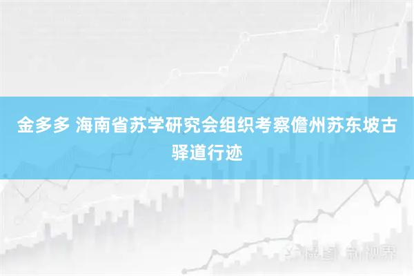 金多多 海南省苏学研究会组织考察儋州苏东坡古驿道行迹