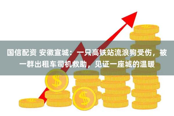 国信配资 安徽宣城：一只高铁站流浪狗受伤，被一群出租车司机救助，见证一座城的温暖