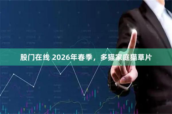 股门在线 2026年春季，多猫家庭猫草片
