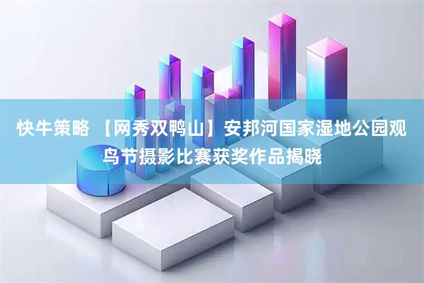 快牛策略 【网秀双鸭山】安邦河国家湿地公园观鸟节摄影比赛获奖作品揭晓