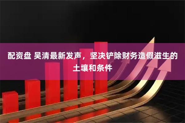 配资盘 吴清最新发声，坚决铲除财务造假滋生的土壤和条件