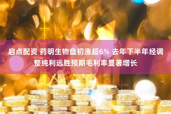 启点配资 药明生物盘初涨超6% 去年下半年经调整纯利远胜预期毛利率显著增长