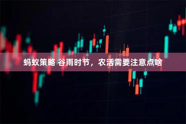 蚂蚁策略 谷雨时节，农活需要注意点啥