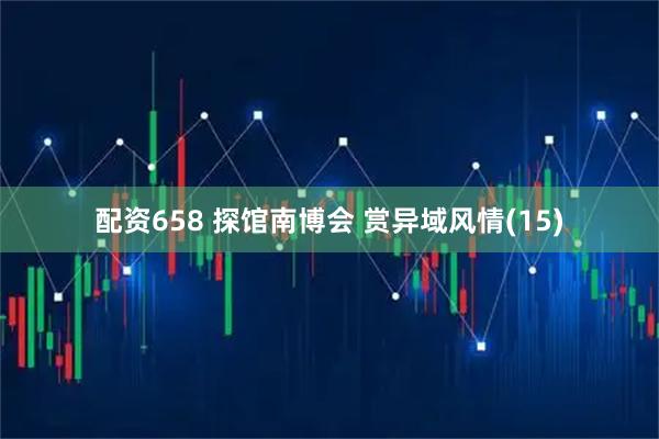 配资658 探馆南博会 赏异域风情(15)