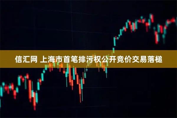 信汇网 上海市首笔排污权公开竞价交易落槌