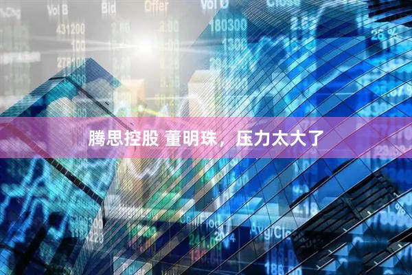 腾思控股 董明珠，压力太大了