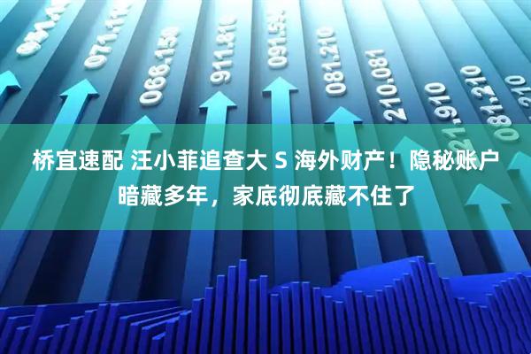 桥宜速配 汪小菲追查大 S 海外财产！隐秘账户暗藏多年，家底彻底藏不住了
